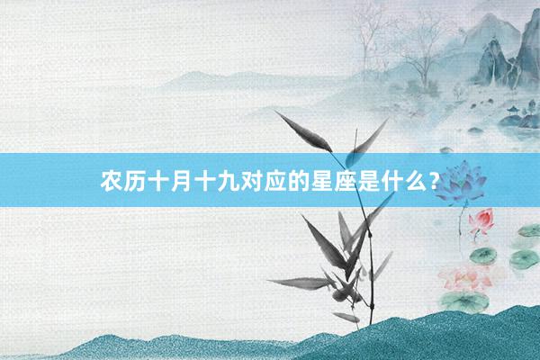 农历十月十九对应的星座是什么？