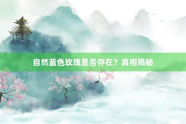 自然蓝色玫瑰是否存在？真相揭秘