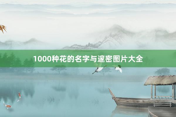 1000种花的名字与邃密图片大全